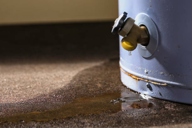 Best Mold removal after water damage  in Cordele, GA
