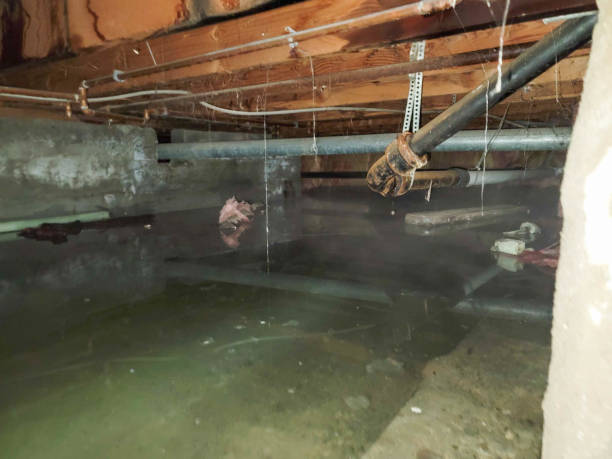 Best Flood restoration services  in Cordele, GA