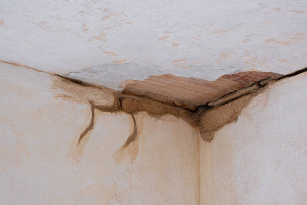 Best Basement water damage restoration  in Cordele, GA