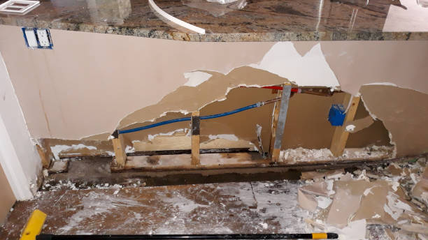 Best Professional water damage repair  in Cordele, GA