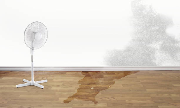 Best Water damage restoration near me  in Cordele, GA