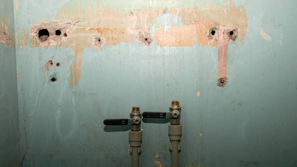 Best Water damage contractors near me  in Cordele, GA