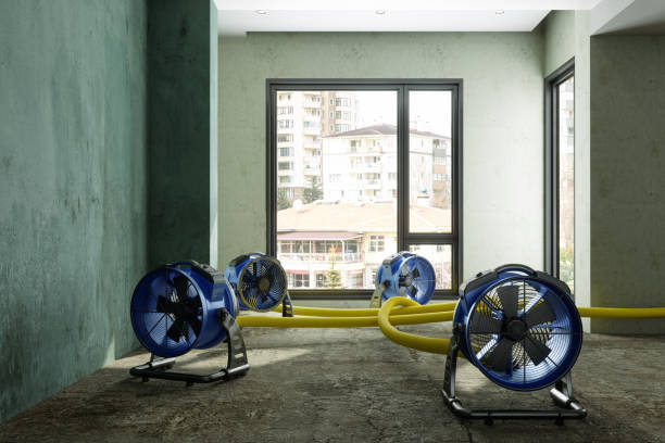 Best Water damage restoration near me  in Cordele, GA